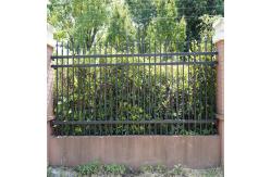 China Wall Protective Fence Aluminum Balustrades Handrails for Garden Fencing Carbon Steel supplier
