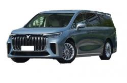 China High Stability Voyah EV 500W Electric Vehicle With 25km/H Max Speed supplier