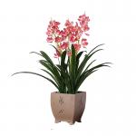 High Lifelike 80cm Artificial Cymbidium Fabric Flowers House Table Decoration for sale