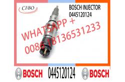 China Diesel Injector 0445120124 Common Rail Disesl Injector 0445120124 supplier