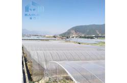 China Cheap Vegetables Tunnel Greenhouse Baolida Tunnel Green House Polytunnel And Multispan Tunnel Greenhouse With Cooling supplier