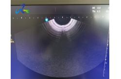 China Samsung V5-9 Ultrasound Transducer Probe Dome And Crystal Replacement Probe Repair supplier