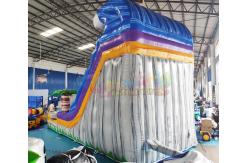 China ODM Outdoor Inflatable Water Slides Palm Tree Bouncy Castle supplier