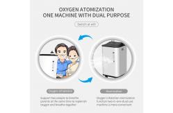 China Small Purity 93% Portable O2 Concentrator 10L Class II supplier