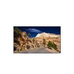 LT040MDU4100 LCD Screen Display 4.0 inch LCD panel for sale