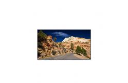 China LT040MDU4100 LCD Screen Display 4.0 inch LCD panel supplier