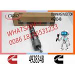 Injector Nozzle Assembly 4087889 4928348 4062088 QSK19 QSK23 QSK60 Engine Series for sale