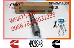 China Injector Nozzle Assembly 4087889 4928348 4062088 QSK19 QSK23 QSK60 Engine Series supplier