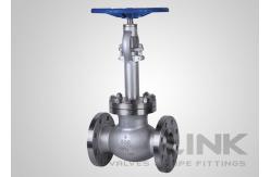 China Cryogenic Globe Valve Low Temperature LCB LC1 LC2 LC3 LC9 CF8 CF8M supplier