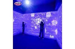 China Dynamic Visuals Crystal Clear Projection Immersive Display 80 Vibrant Themes supplier