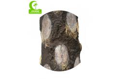 China Realistic HAIHONG 230cm Height Artificial Tropical Tree For Theme Park supplier