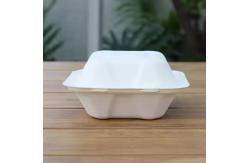 China Oil Resistant and Biodegradable Customized Disposable Bagasse Burger Box for Food Container supplier