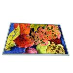 14.1 inch 262K LCD Screen Display Panel NL10276BC28-11A For NEC for sale
