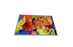 China 14.1 inch 262K LCD Screen Display Panel NL10276BC28-11A For NEC supplier