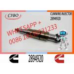 Diesel Common Rail Fuel Injector 2086663 1933613 1881565 2894920. Compatible