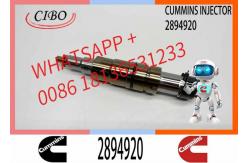 China Diesel Common Rail Fuel Injector 2086663 1933613 1881565 2894920. Compatible supplier