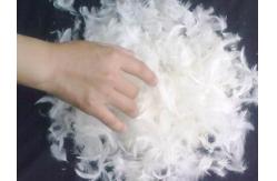China Feather and Down, Dcuk and Goose Products supplier