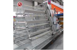 China Automatic Hot Galvanized Layer Chicken Cage System 4 Birds Per Cell supplier