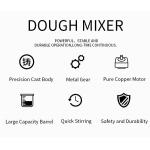 Large Capacity bread mixer machine Commercial Stainless Steel 10L for sale