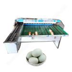 Chicken Egg Grader Egg Grading Machine Egg Grader Farm Use	 Egg Sorting Machine for sale