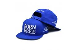 China BSCI Factory Custom Hat Snapback 3d Embroidery Snap Back Caps supplier