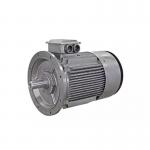 220v 380v 50hz Neodymium Permanent Magnet Motor  IC411 Cooling for sale