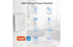 China WIFI Dual Light Switch EU UK Standard 2 Gang Wifi Light Switch 240Vac supplier