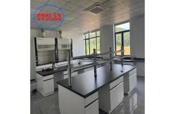 China Multi Functional Chemistry Lab Bench Modular Lab Furnitures  With Safeguard Cover supplier