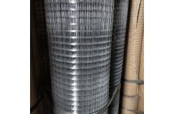 China hot dipped Galvanized Welded Welded Wire Mesh Panel 75mm-300mm supplier