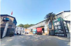 China Areca Palm manufacturer