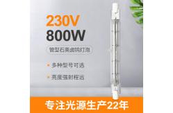 China 230V 800W R7s Halogen Bulb 118mm Dimmable Double Ended Linear Halogen Lamp supplier