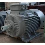 IP54 Permanent Magnet Alternator Magnet Generator Energy Efficient for sale