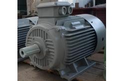 China Three Phase Permanent Magnet AC Alternator Natural Cooled For Wind Turbine supplier