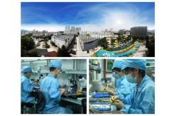 china MPO MTP exporter