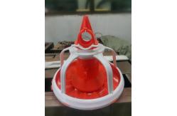 China The five lattice feeding trays are for the roosters supplier