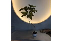 China Transform Your Business with 110cm Artificial schefflera tree from Top Suppliers supplier