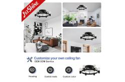 China 1stshine Ceiling Fan Light CE Elegant Black Flush Mounted Lighting Solutions Service supplier