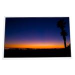 LTM240CL07 LCD Screen For EIZO EV2455 for sale