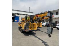 China Customized Spider Crawler Crane Diesel Engine And Electric Dual Power supplier