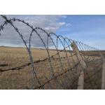 Easy to Construct Razor Barbed Wire with Good Deterrence Effect for sale
