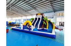 China Plato Double Side Inflatable Water Slide Jumper Bounce House supplier