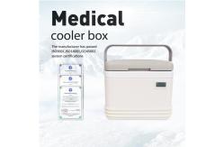 China Customize Medical Cooler Box with Durable Ice Pack for and Customizable Cooling supplier