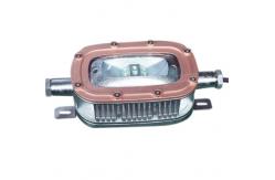 China 30W Waterproof Explosion Proof Led Flood Light 3000 Lumens For Oil Plant supplier