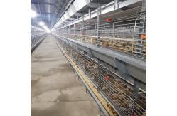 China 60-144 Broiler Poultry Equipment , ISO9001 Wire Bird Breeding Cages supplier