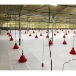 KXD Broiler Poultry Equipment Automatic Poultry Farm Plastic Slatted Flooring for sale