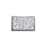 AA121SN03 original 12.1 inch LCD module screen 800*600 applicable to industrial display for sale