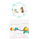 Molar Dog Chew Toy Teeth Cleaner TPR Sucker Draw Rope Ball
