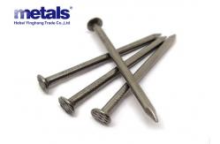 China Hard And Soft Wood Q235 Common Round Wire Nails With Polished Bright Shank supplier