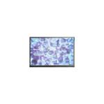 Original DMC-16230NY-LY-EEE-EGN LCD Screen Display Panel for sale