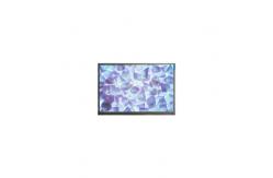 China Original DMC-16230NY-LY-EEE-EGN LCD Screen Display Panel supplier